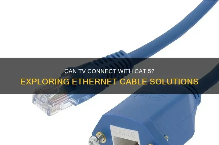 Can Cat5 Be Used For Tv Here Is What You Should Know