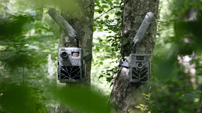 Can A Cell Phone Detect A Trail Camera In The Wild