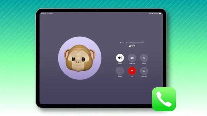Can You Use Ipad Mini As A Phone Instead of Your Cell